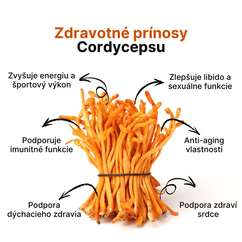 (Slovenčina) Zdravotní přínosy Cordycepsu